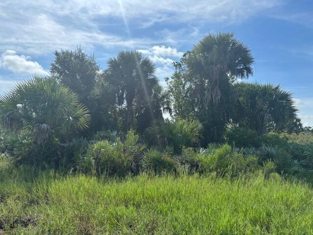 0 NW 308th Street, Okeechobee, Floride 34972, États-Unis