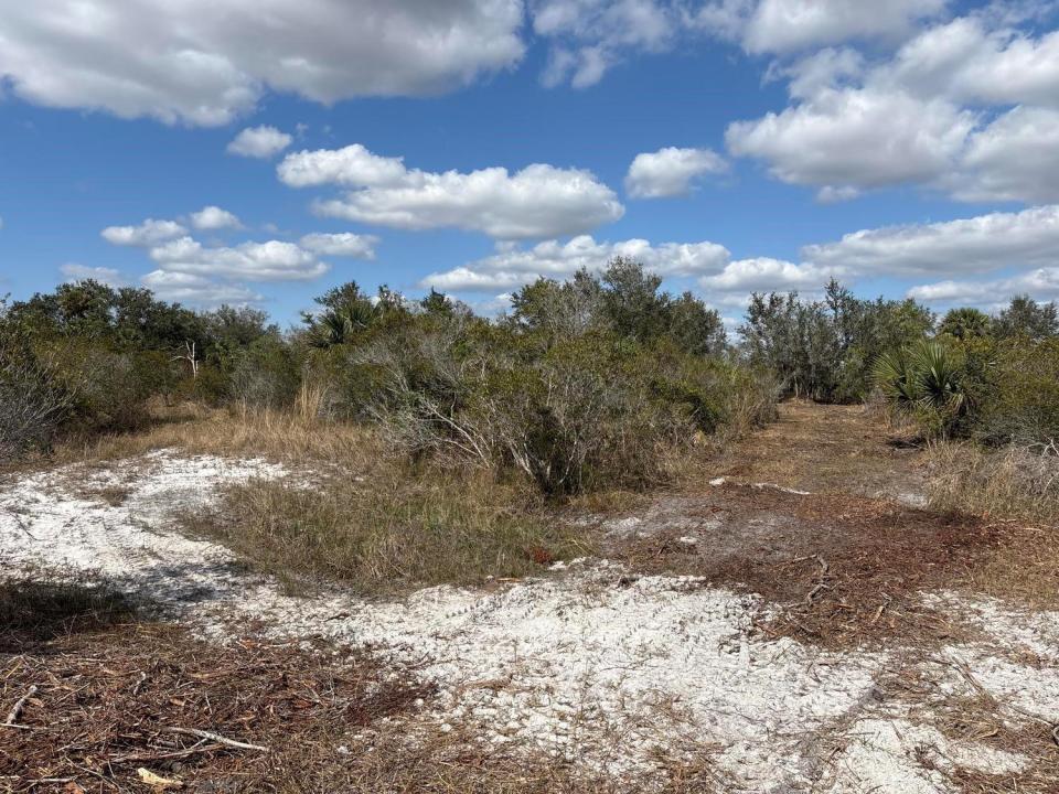 0 NW 298th Street, Okeechobee, Floride 34972, États-Unis