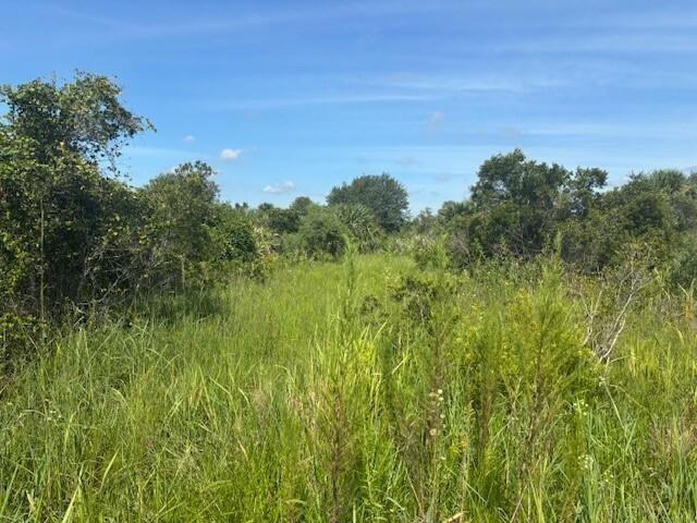 0 NW 312th Street, Okeechobee, Florida 34972, Stati Uniti