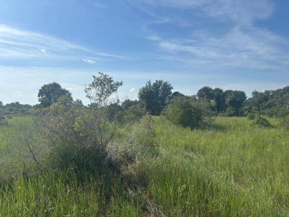 0 NW 308th Street, Okeechobee, Florida 34972, Stati Uniti