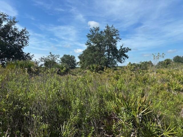 0 NW 306th Street, Okeechobee, Florida 34972, Stati Uniti