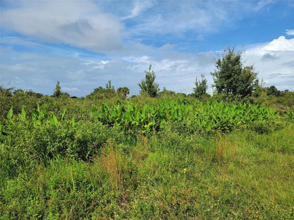 17275 NW 260th Street, Okeechobee, Floride 34972, États-Unis