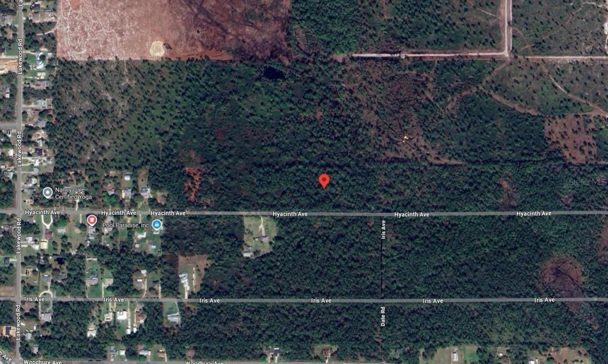 1016 Hyacinth Avenue Avenue, Sebring, Florida 33875, USA