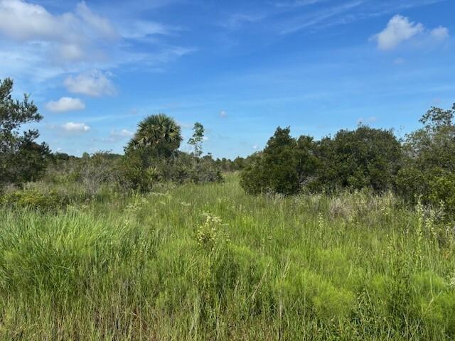 0 NW 310th Street, Okeechobee, Floride 34972, États-Unis