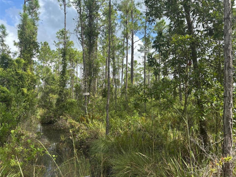 0 Co Road, Lake Wales, Florida 33898, Stati Uniti