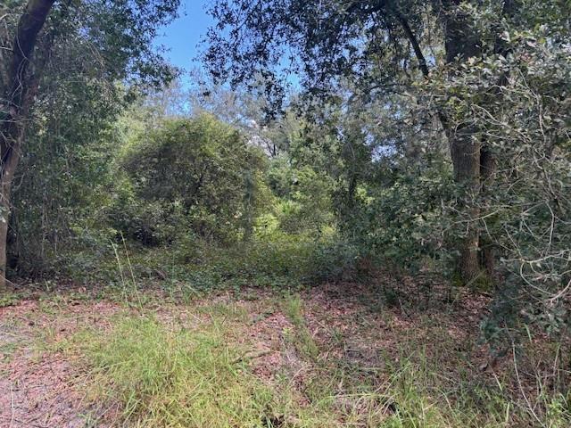 0 County Rd 54, Florida 33849, HOA KỲ