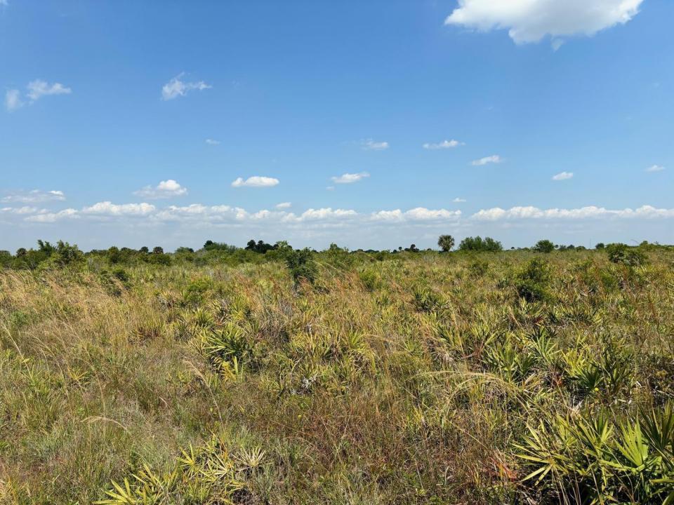 0 NW 318th Street, Okeechobee, Florida 34972, USA