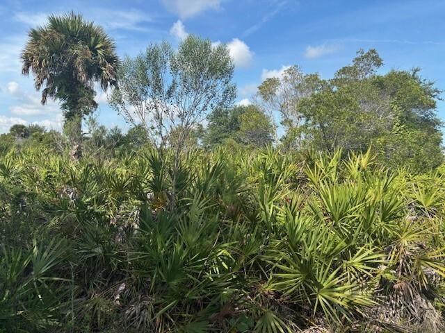 0 NW 310th Street, Okeechobee, Florida 34972, Stati Uniti