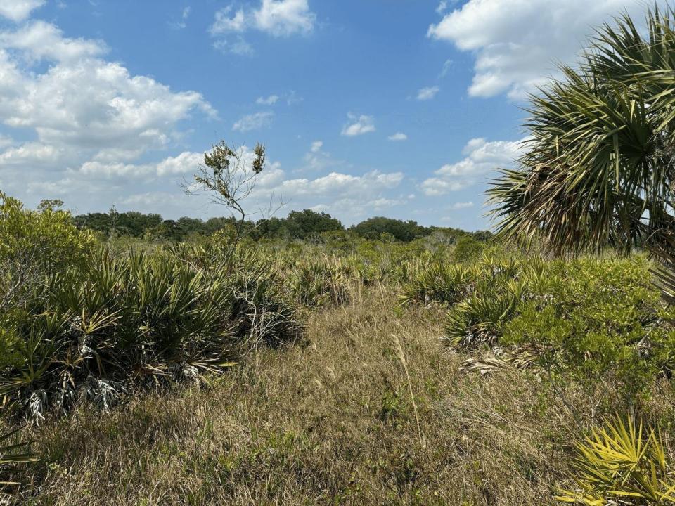 0 NW 306th Street, Okeechobee, Florida 34972, USA
