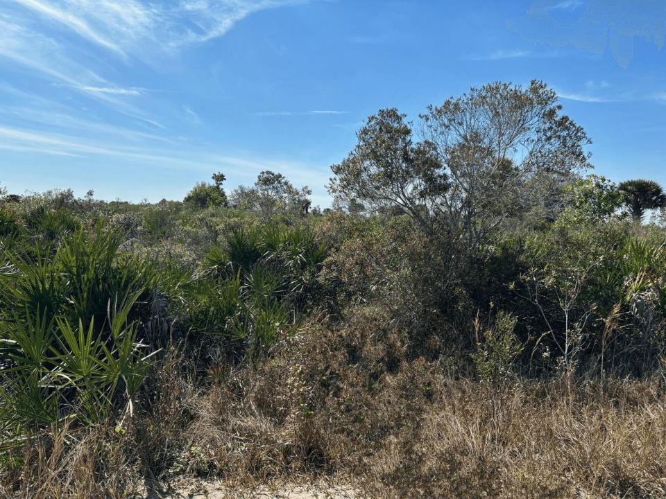 0 NW 308th Street, Okeechobee, Florida 34972, Stati Uniti