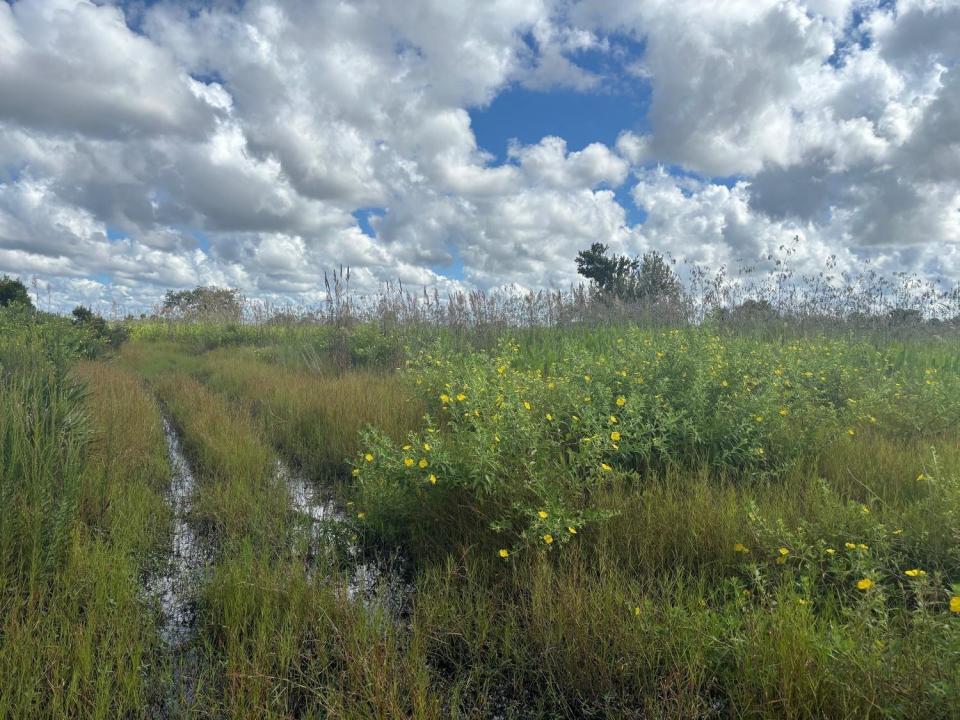 0 NW 316th Street, Okeechobee, Floride 34972, États-Unis