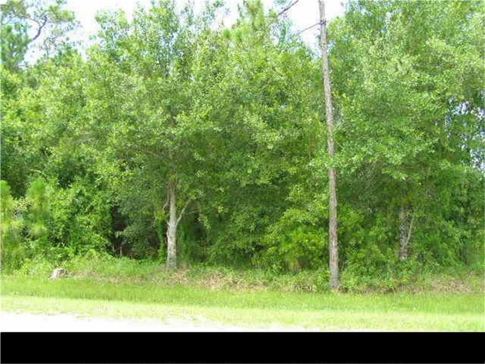 Fellsmere, Floride 32948, États-Unis