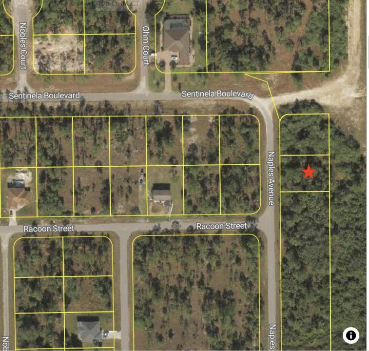 121 Naples S Avenue, Lehigh Acres, Floride 33974, États-Unis