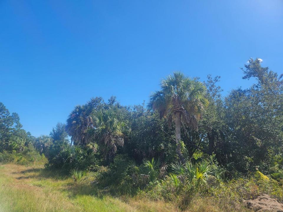 Port Charlotte, Floride 33953, États-Unis