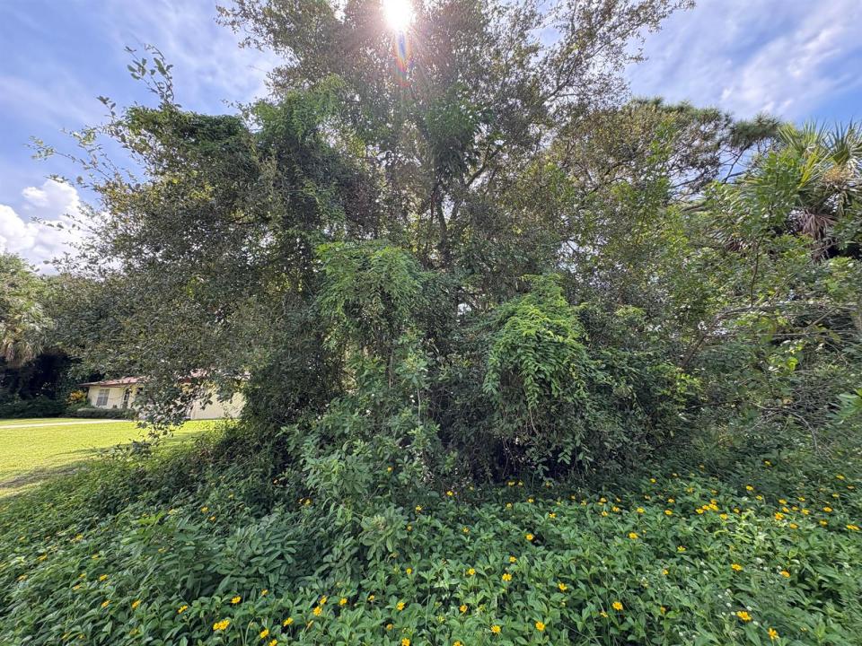 Tbd Santa Clara Boulevard, Port St. Lucie, Floride 34951, États-Unis