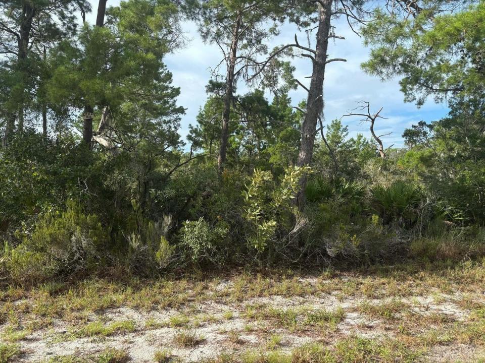 635 Boylston Street, Lake Placid, Floride 33852, États-Unis