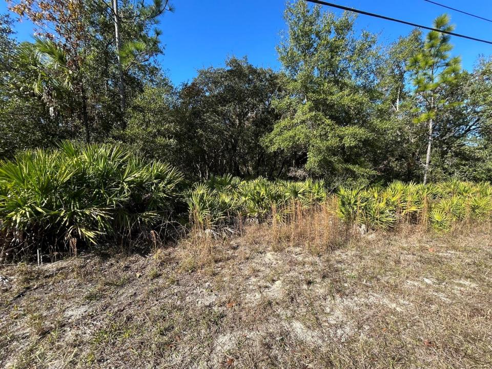632 N Dunkenfield Avenue, Floride 34429, États-Unis