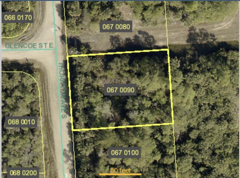 245 Thornton S Avenue, Lehigh Acres, Floride 33974, États-Unis