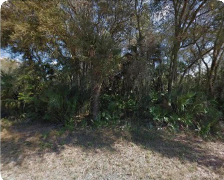 122 Carey S Avenue, Lehigh Acres, Floride 33974, États-Unis