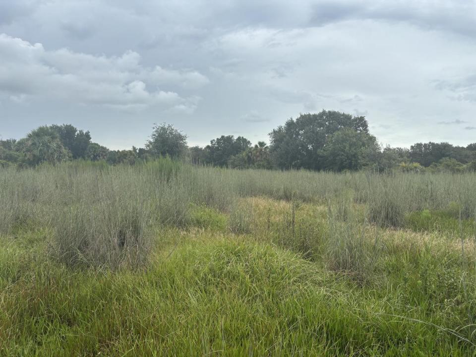 0 294th Street, Okeechobee, Floryda 34972, USA