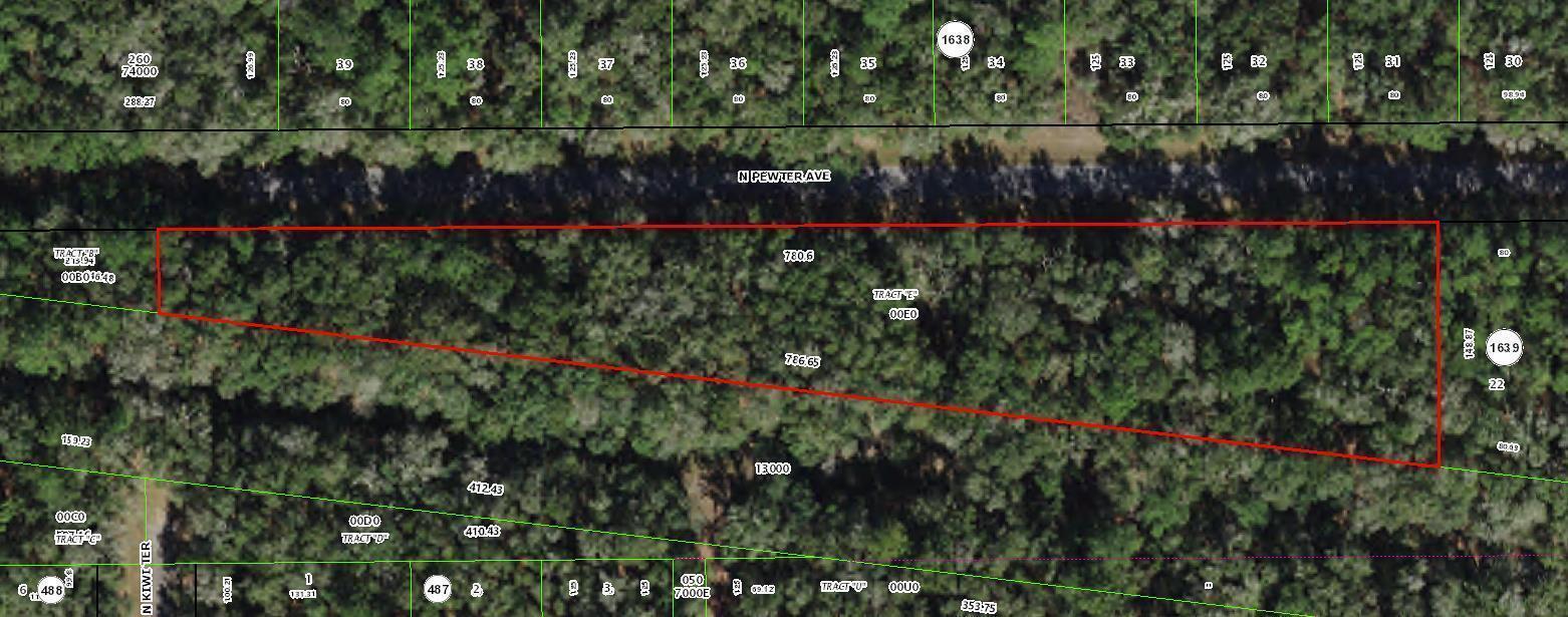 182 E Kingsdale Street, Floride 34434, États-Unis