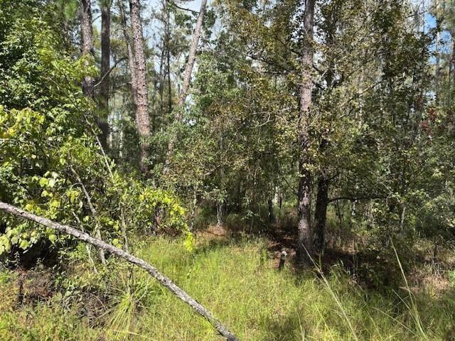 0 County Rd 54, Florida 33849, Stati Uniti