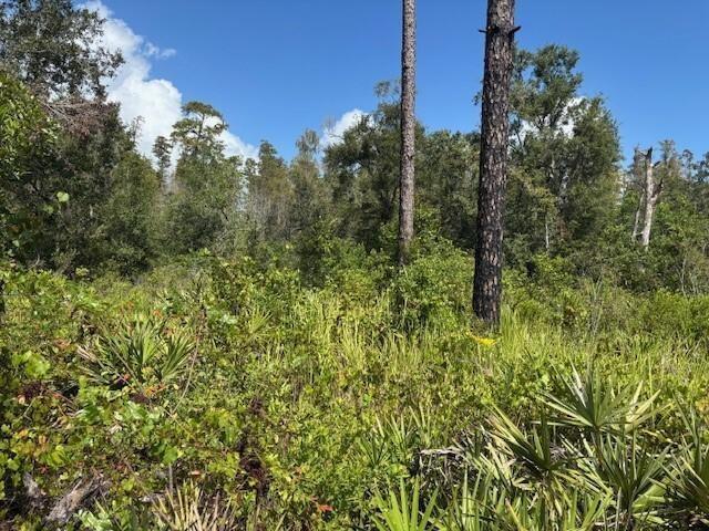 0 County Rd 54, Florida 33849, Stati Uniti