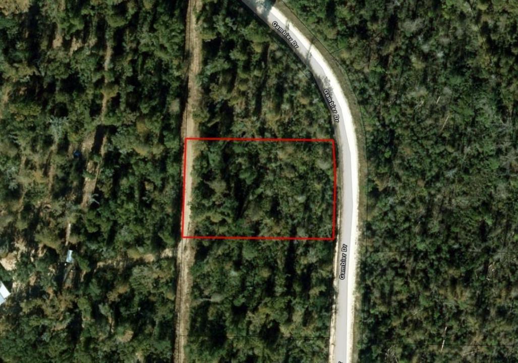 0 Gambier Drive, Floride 32448, États-Unis