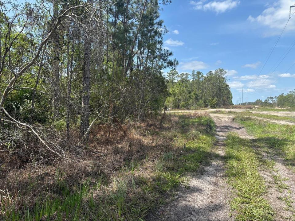 0 Holopaw Groves Road, Floryda 34772, USA