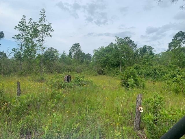 0 Holopaw Groves Road, Floryda 34772, USA