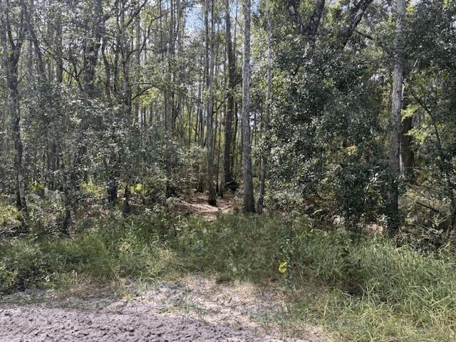 0 County Rd 54, Floryda 33849, USA