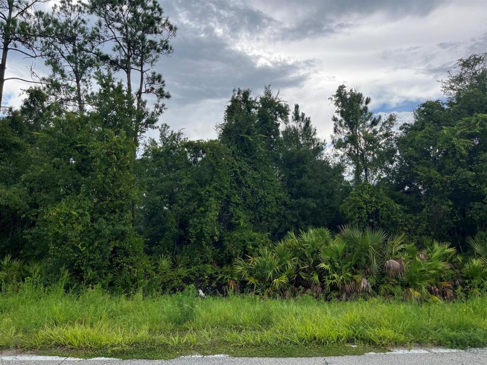 6883 St Johns Avenue, Palatka, Florida 32177, Stati Uniti