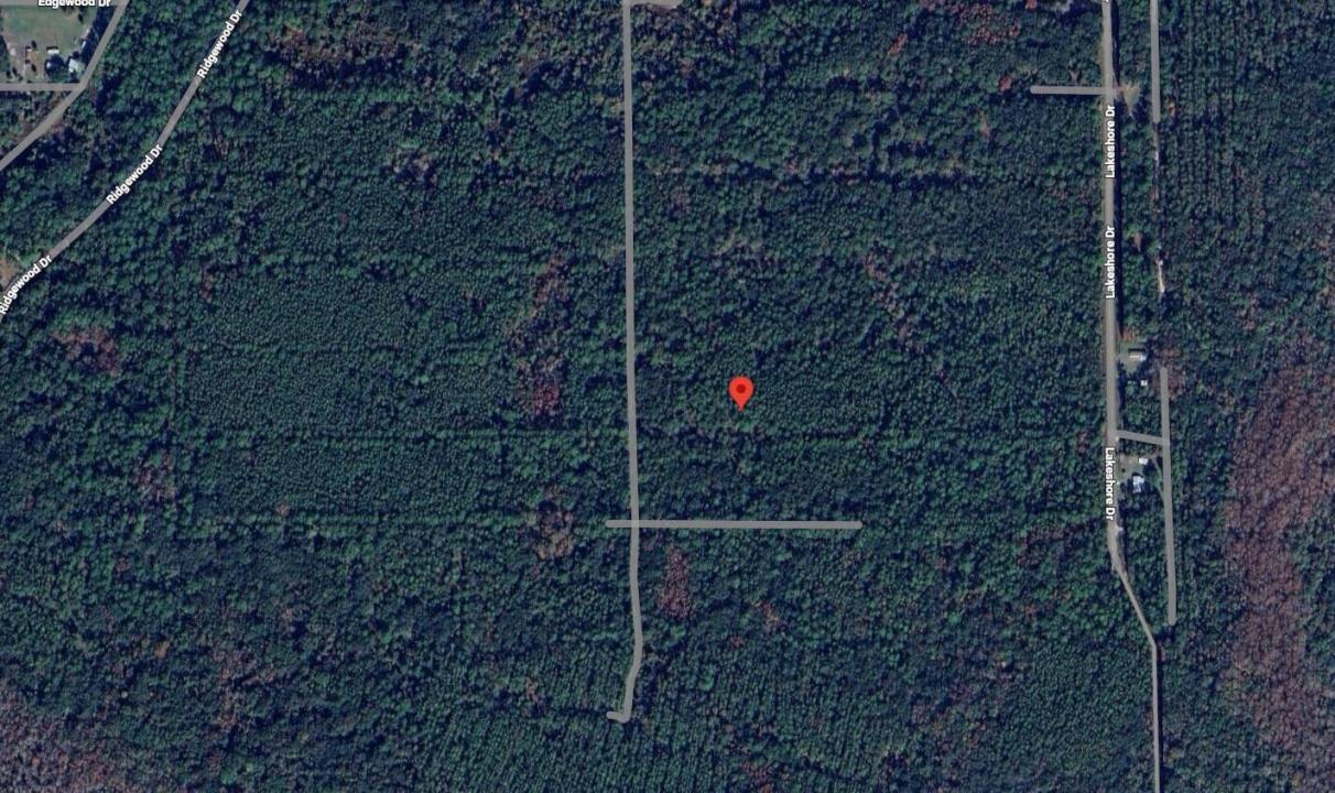 208 Garrison Avenue, Florida 32139, Stati Uniti