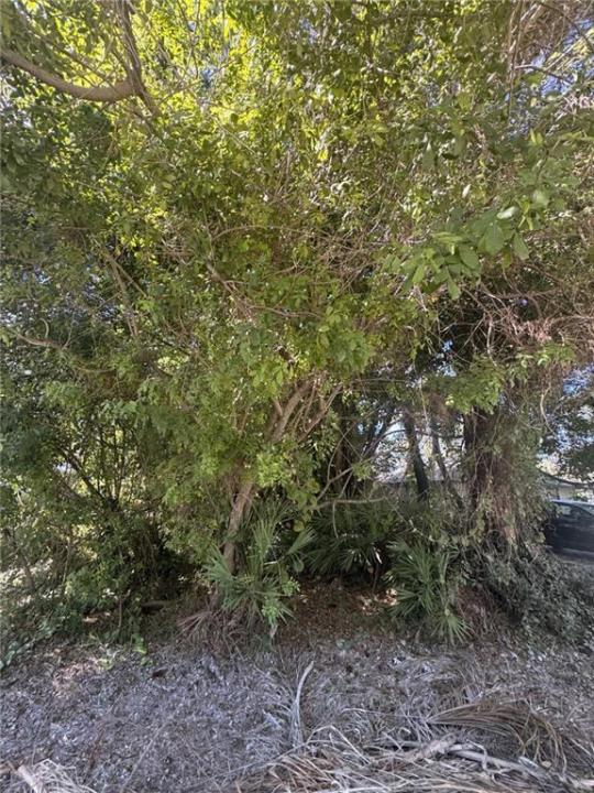 1115 15th SW Avenue, Vero Beach, 플로리다 32962, 미국