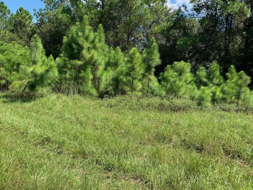 0 Old Grade Road, Florida 33868, USA