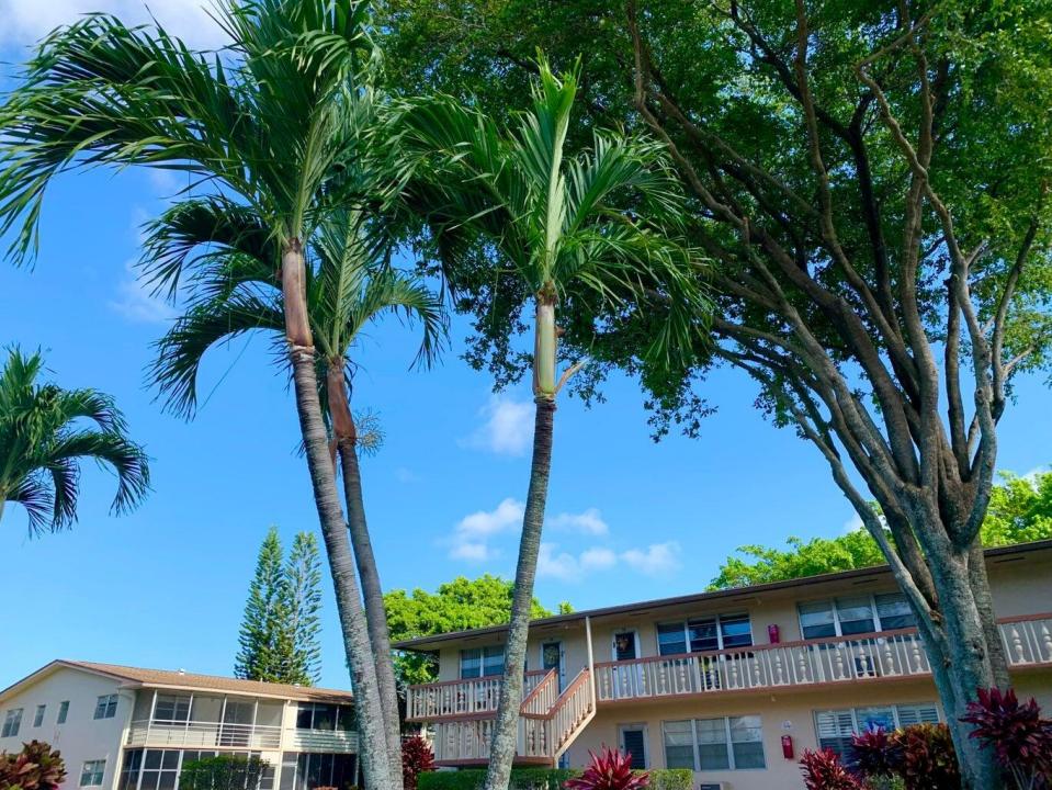 116 Canterbury E, West Palm Beach, Floride 33417, États-Unis