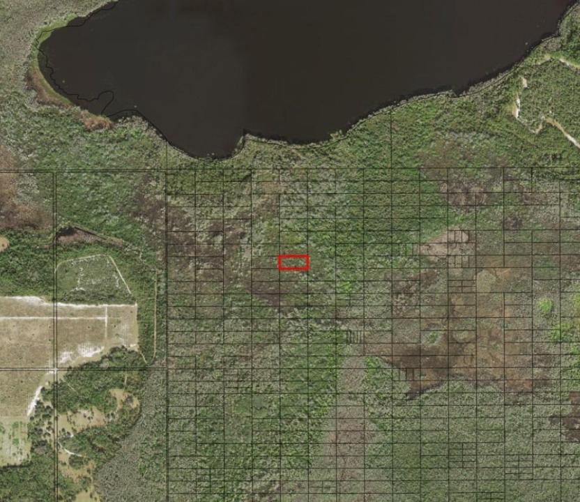 0 Holopaw Groves Road, Florida 34772, Stati Uniti
