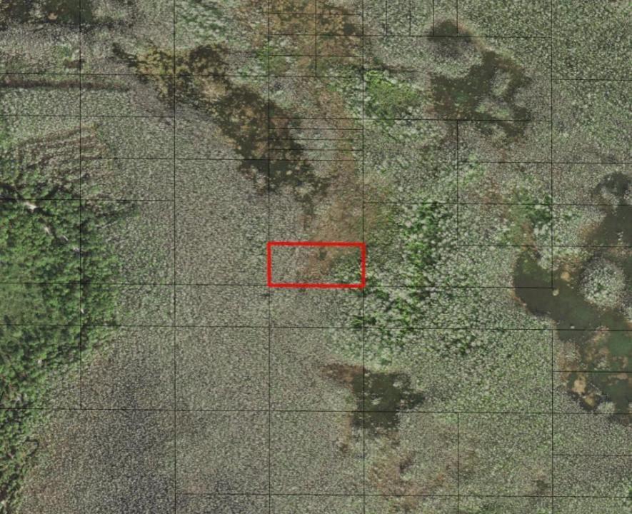 0 Holopaw Groves Road, Floride 34772, États-Unis