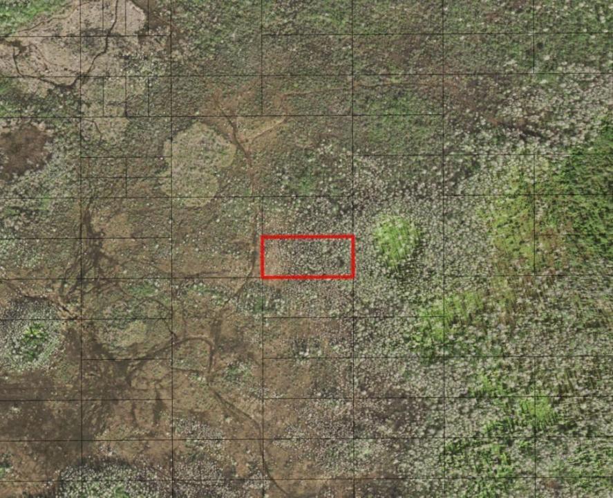 0 Holopaw Groves Road, Floride 34772, États-Unis