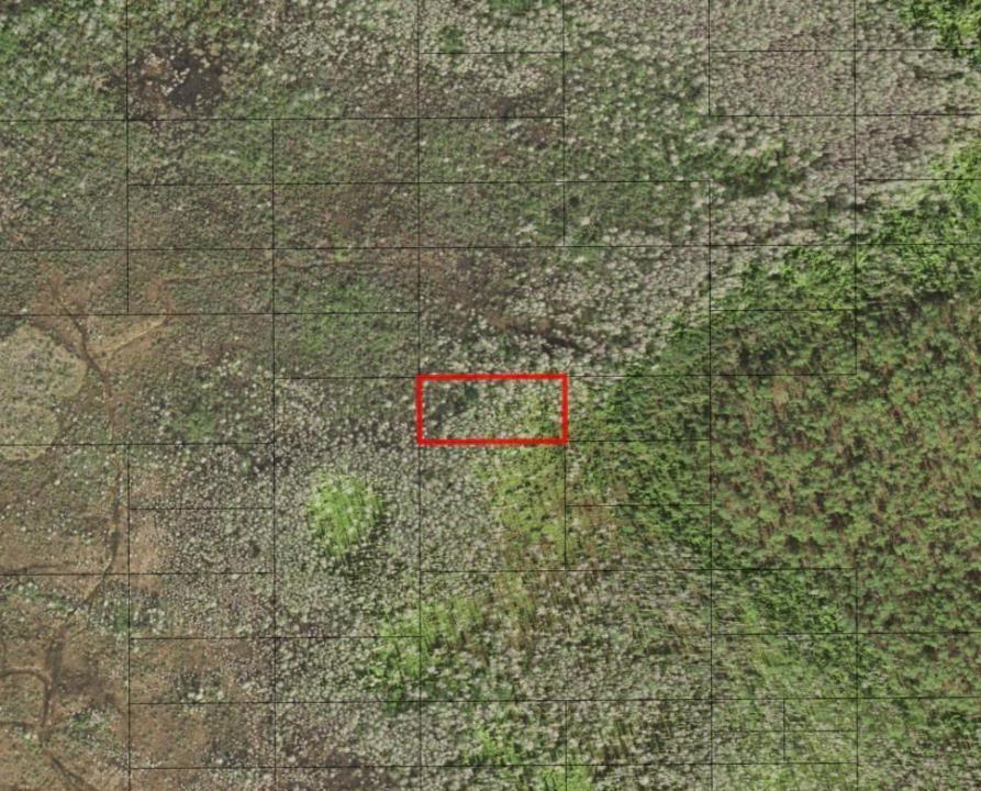 0 Holopaw Groves Road, Floride 34772, États-Unis