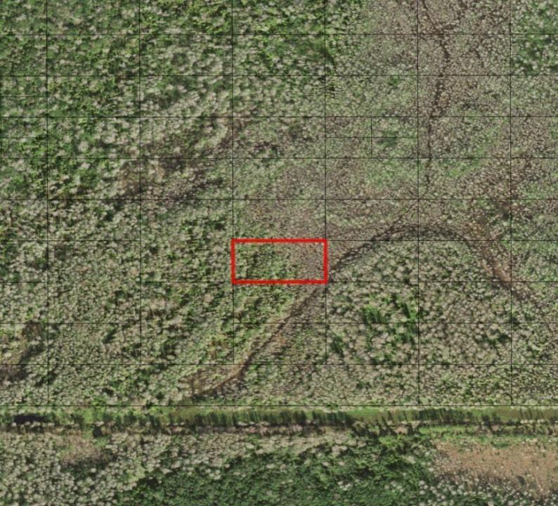 0 Holopaw Groves Road, Floride 34772, États-Unis