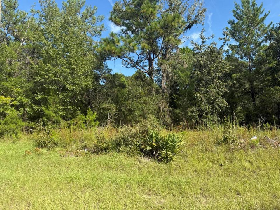 Tbd 79th Terrace Road, Floride 34432, États-Unis