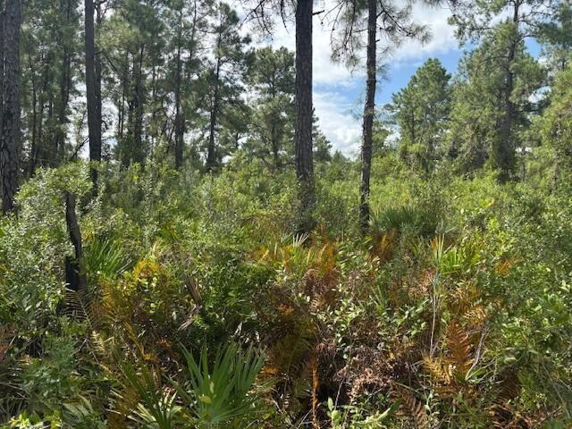 0 Hwy 630e, Frostproof, Floride 33843, États-Unis