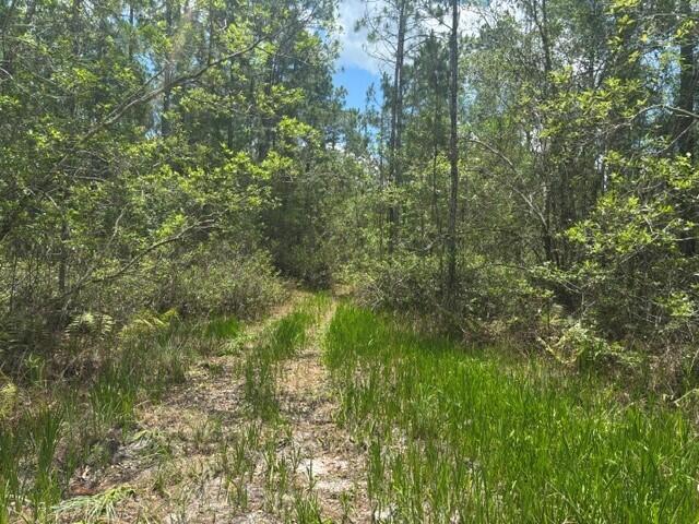 0 Water Road, Clermont, Florida 33868, Stati Uniti