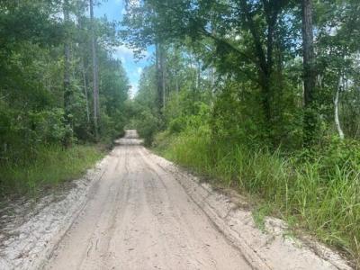 0 Water Road, Clermont, Floride 33868, États-Unis
