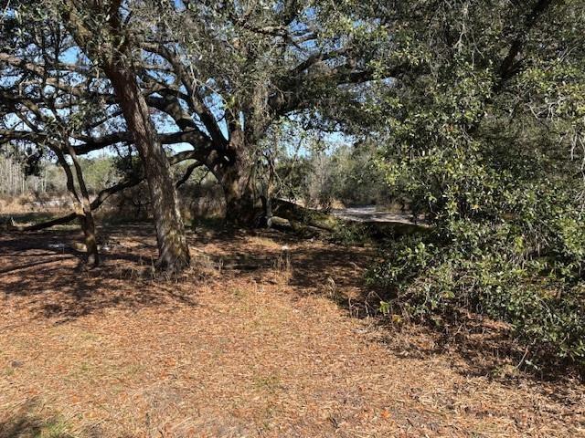 0 County Rd 54, Florida 33849, USA