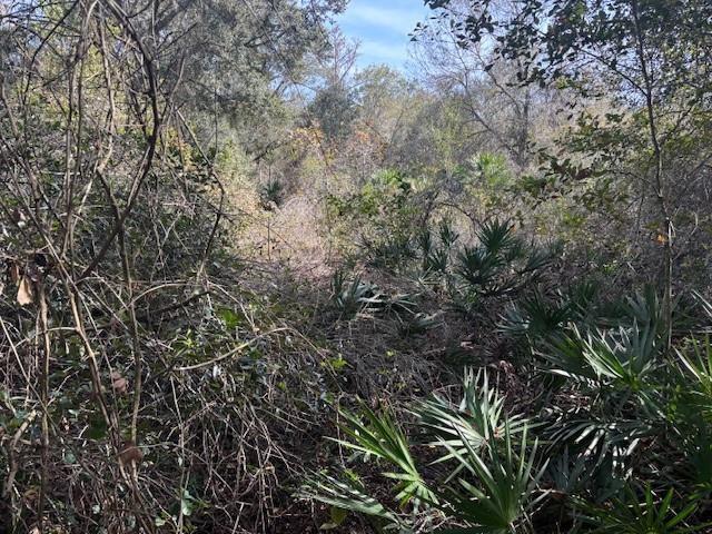 0 County Rd 54, Floryda 33849, USA