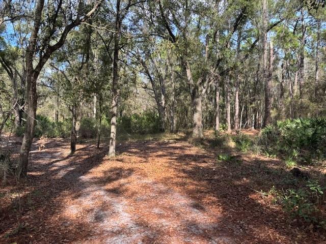 0 County Rd 54, Florida 33849, Stati Uniti