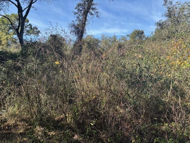 0 County Rd 54, Floride 33849, États-Unis
