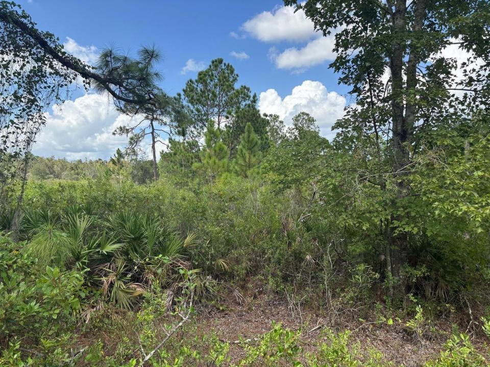 0 County Rd 54, Florida 33849, Stati Uniti